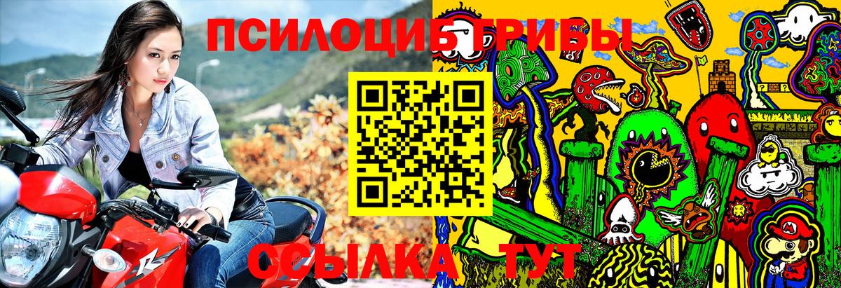 Приморско-Ахтарск  Псилоцибиновые грибы Psilocybine cubensis  Вход с VPN 