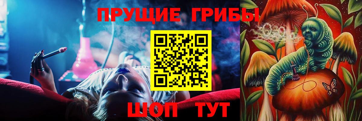 Галлюциногенные грибы Psilocybe Приморско-Ахтарск